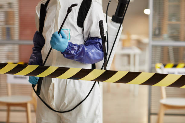 Professional Hoarding Cleanup technician working in Red Bud, IL
